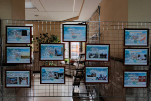 Выставка «Историческое единство: 30 сентября»